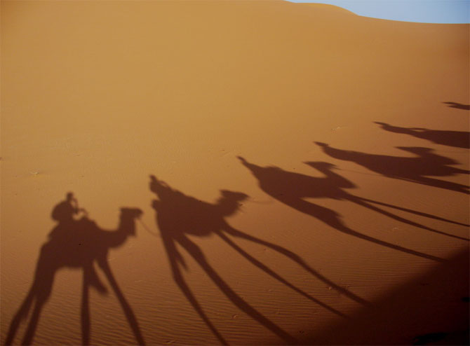 القوافل الصحراء